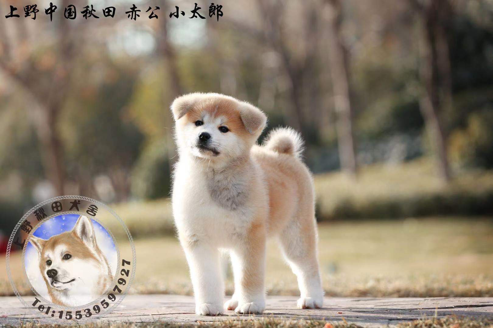 微信图片_20191022232130.jpg